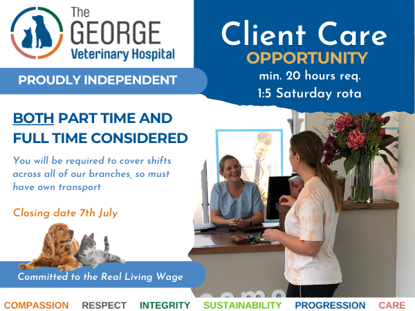Client Care role at The George Vets