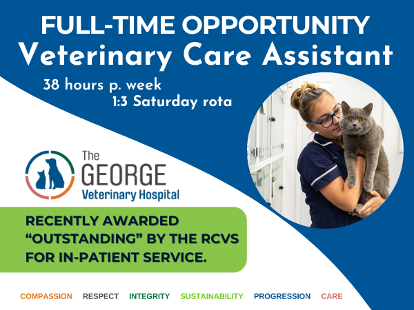 Veterinary Care Assistant Opportunity
