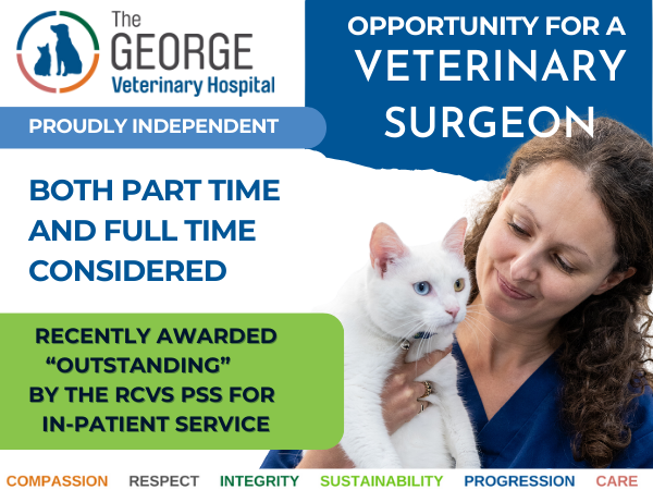 Advert for Veterinary Surgeon