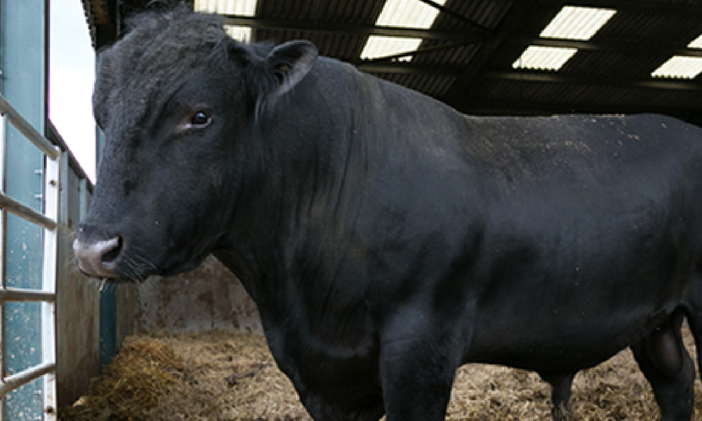 farmservices farmservices