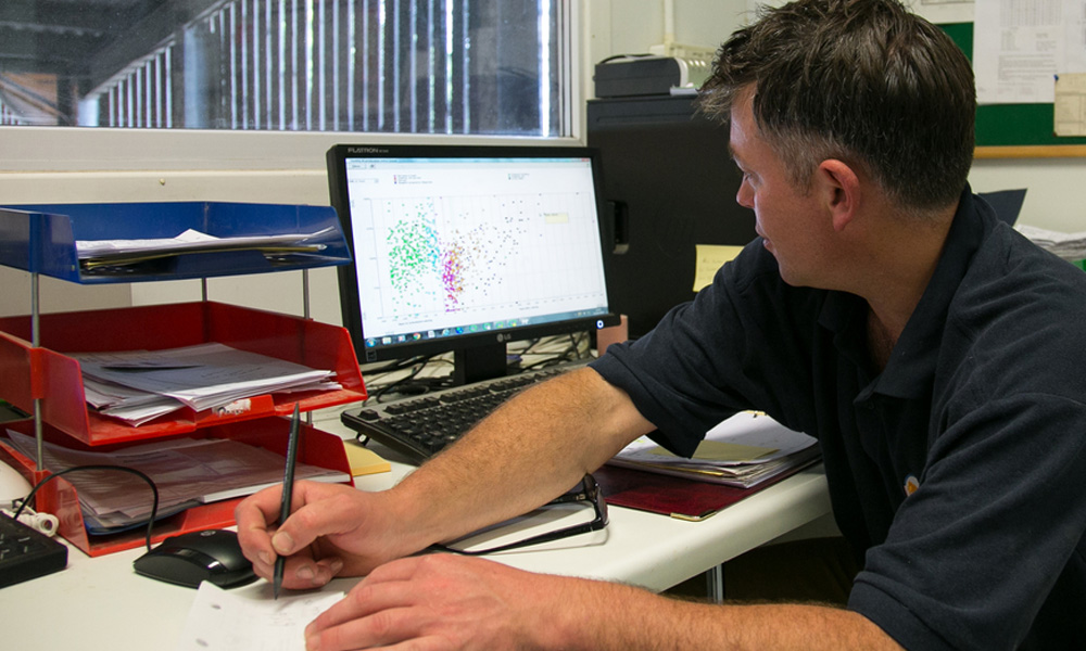 healthplan healthplan