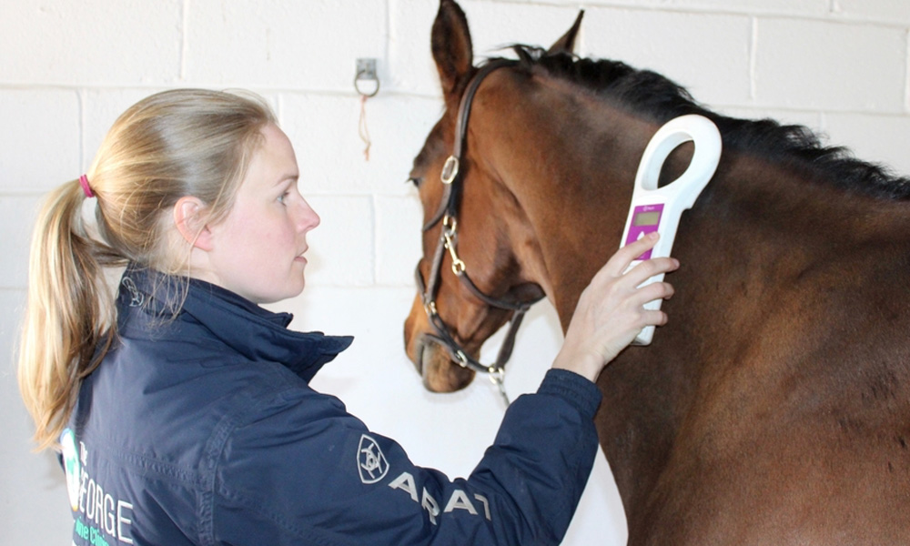 microchipping microchipping