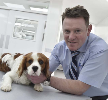 Vet with dog