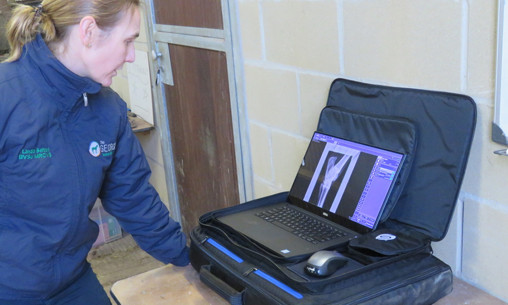 radiography radiography