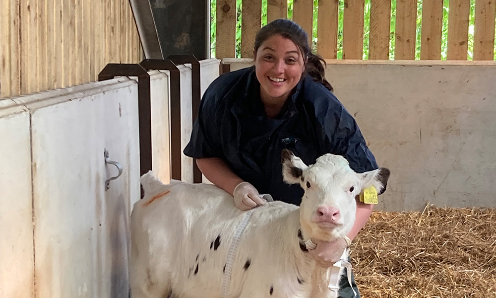 youngstock2 youngstock2