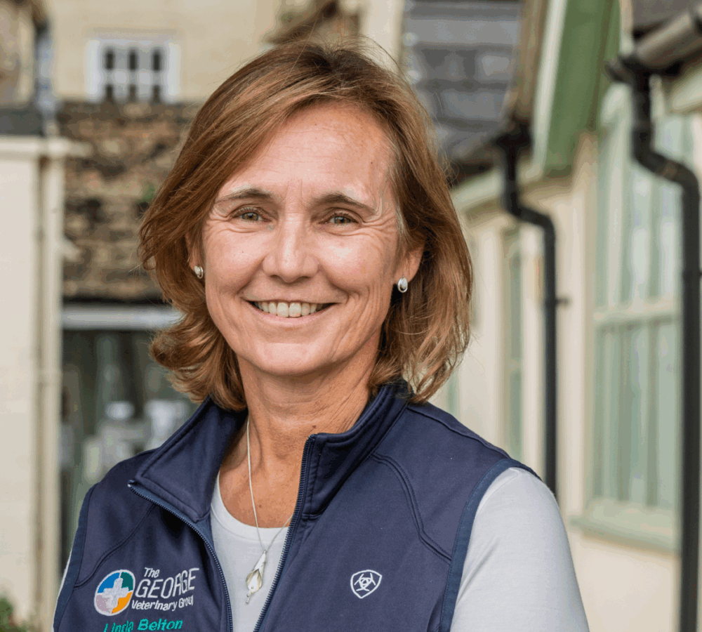 Our pricing Our pricing