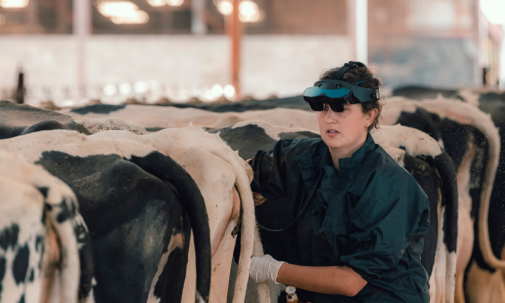 dairyfertility dairyfertility