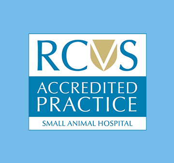 RCVS Accredited badge