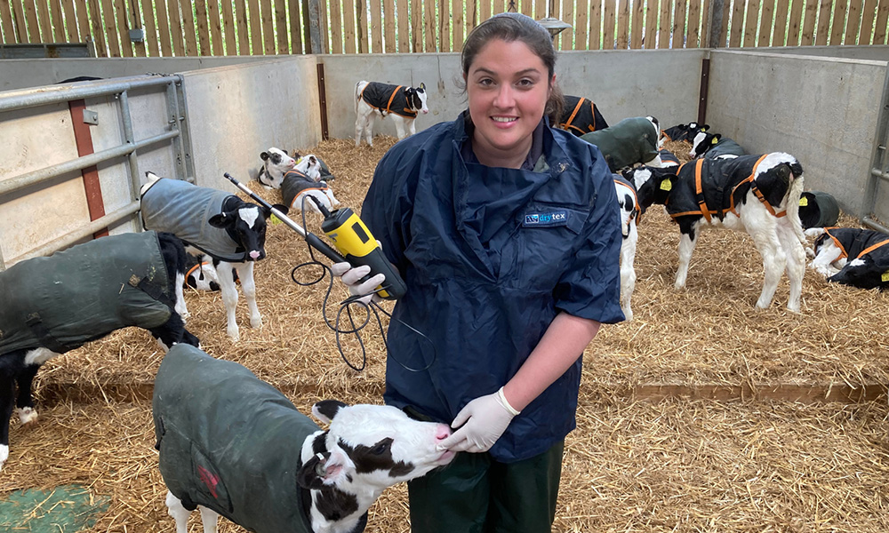 youngstock youngstock