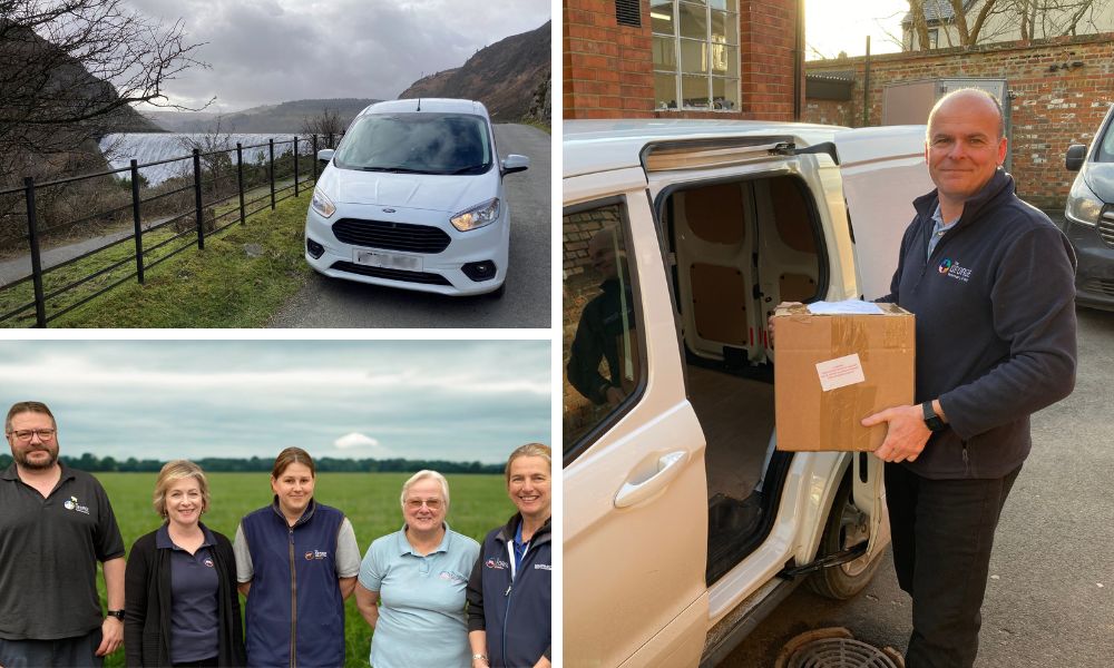 Pig Medicine Deliveries