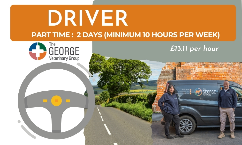 Driver (1) Driver (1)