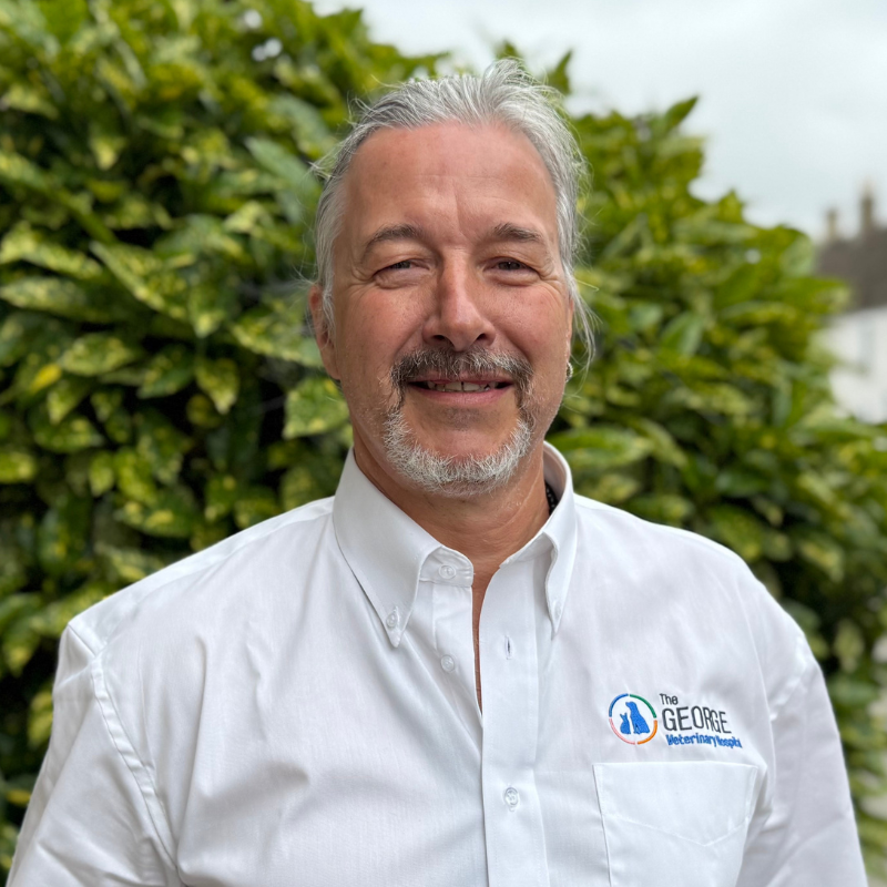 Gavin Maloney