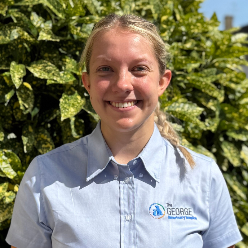 Verity Burrows